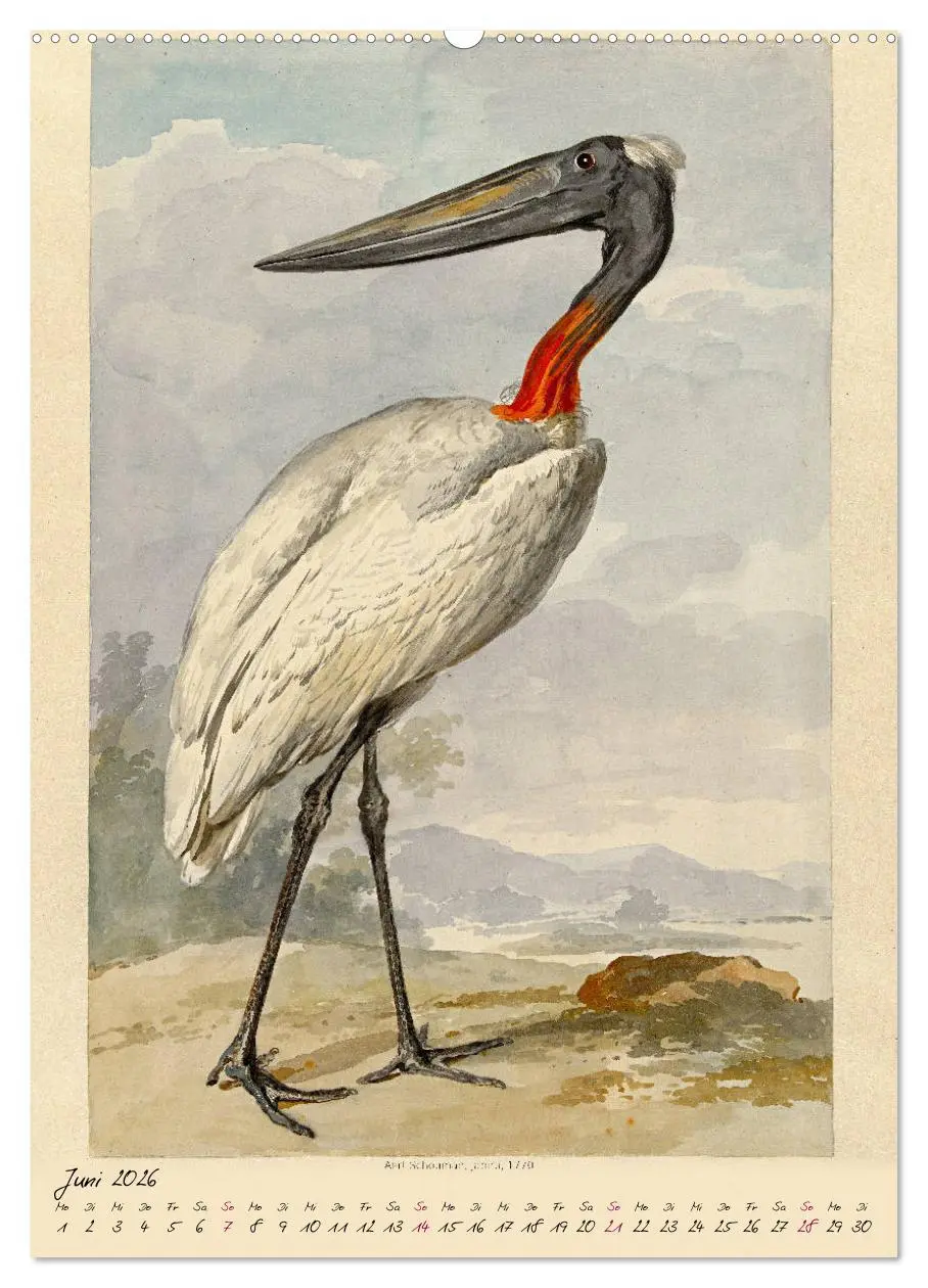 Bild: 9783516391442 | Aert Schouman. VÖGEL (hochwertiger Premium Wandkalender 2026 DIN A2...
