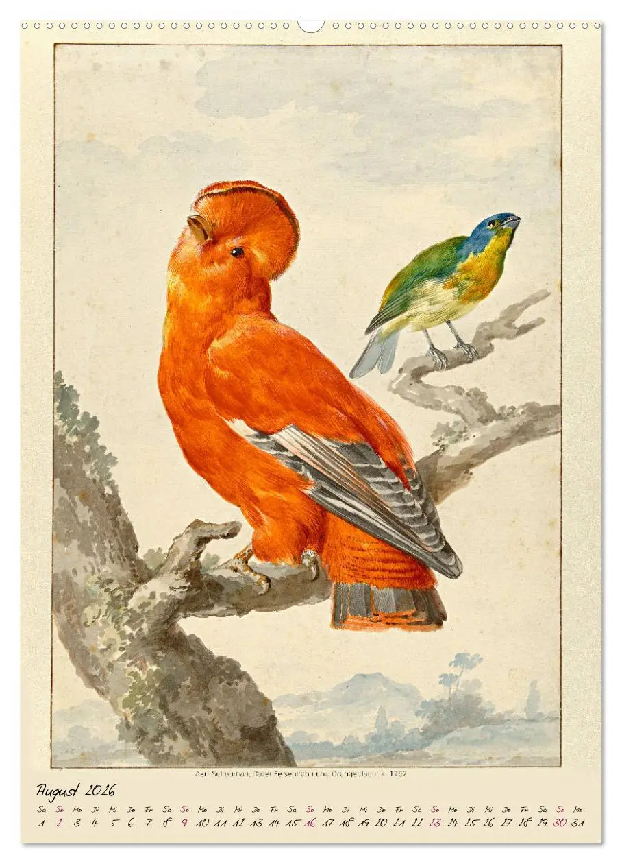 Bild: 9783516391442 | Aert Schouman. VÖGEL (hochwertiger Premium Wandkalender 2026 DIN A2...