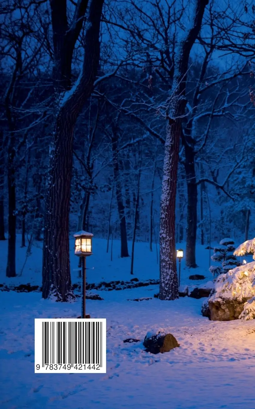 Rückseite: 9783749421442 | Weihnachtsgedanken | Thomas Macek | Taschenbuch | 100 S. | Deutsch