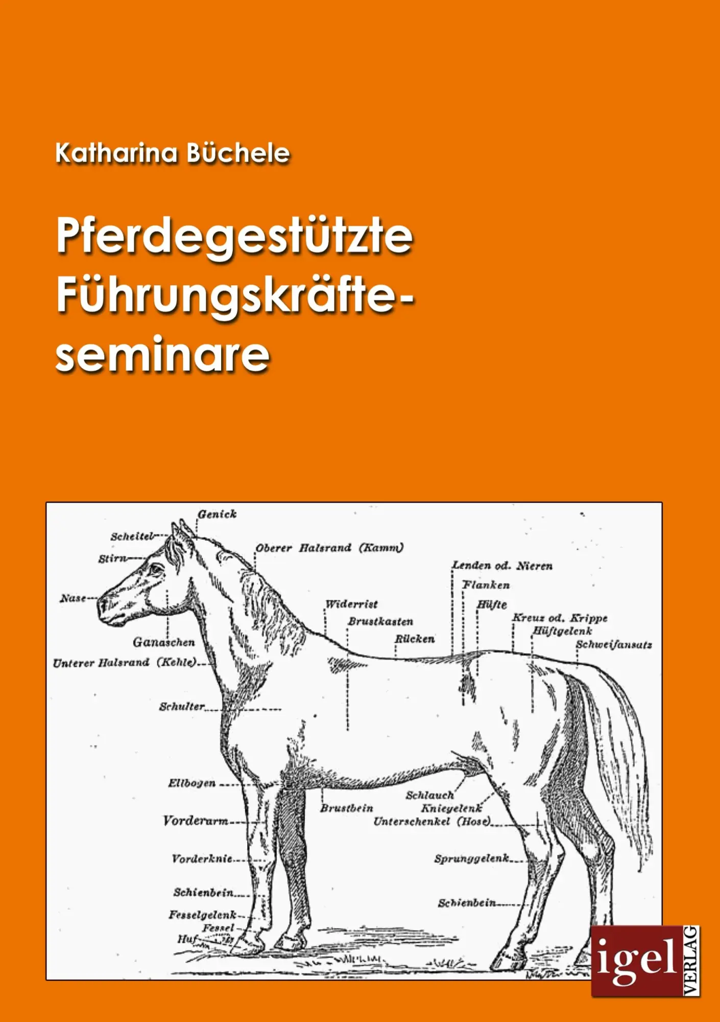 Cover: 9783868151442 | Pferdegestützte Führungskräfteseminare | Katharina Büchele | Buch