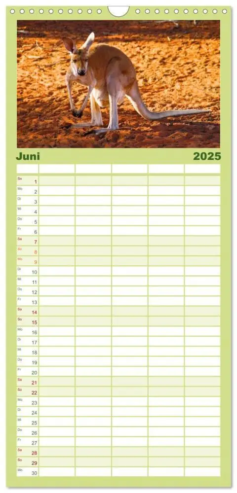 Bild: 9783457121542 | Familienplaner 2025 - Australien mit 5 Spalten (Wandkalender, 21 x...