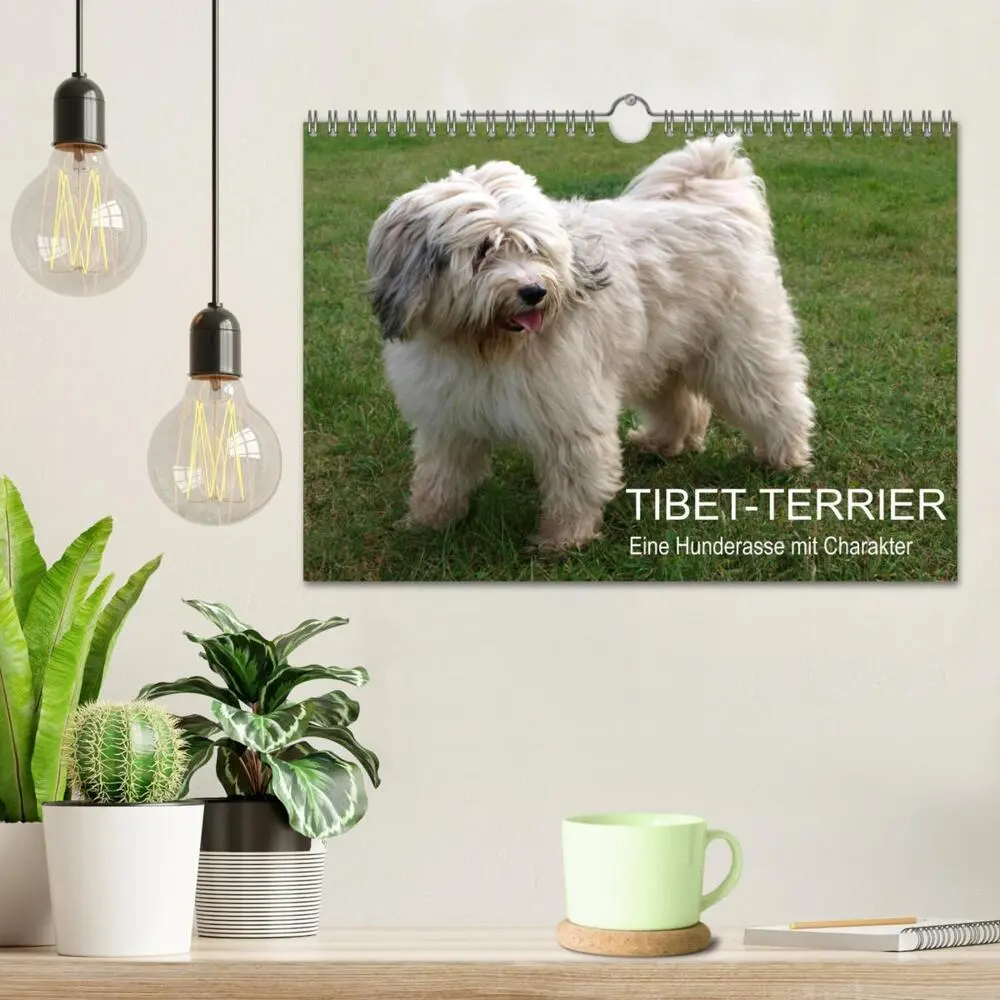 Bild: 9783435261642 | Tibet-Terrier - Eine Hunderasse mit Charakter (Wandkalender 2025...
