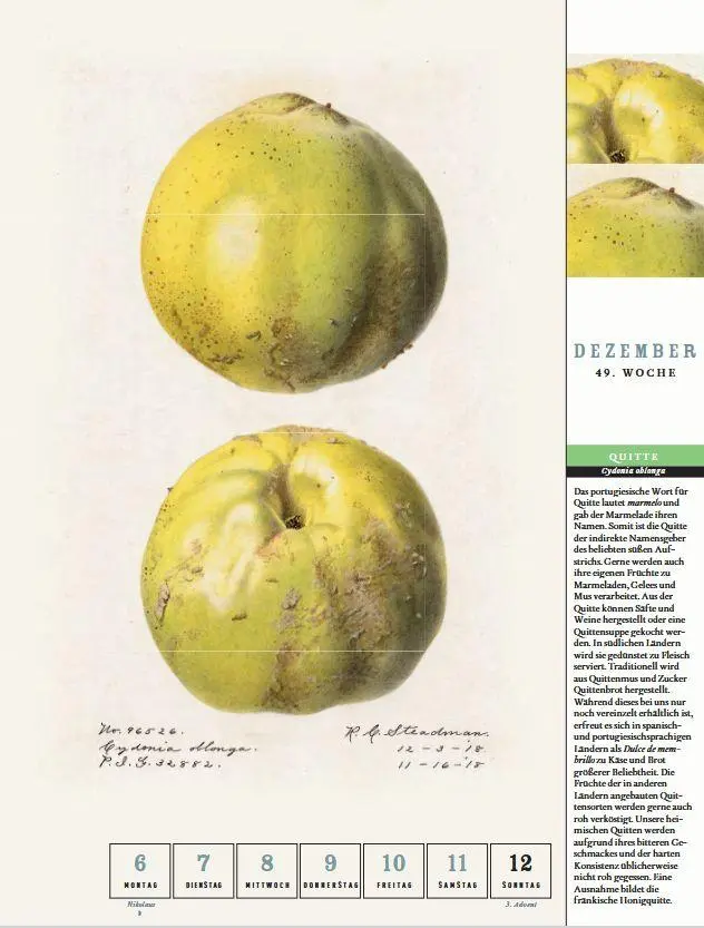 Bild: 9783799521642 | Thorbeckes heimisches Obst Kalender 2027 | Kalender | 56 S. | Deutsch