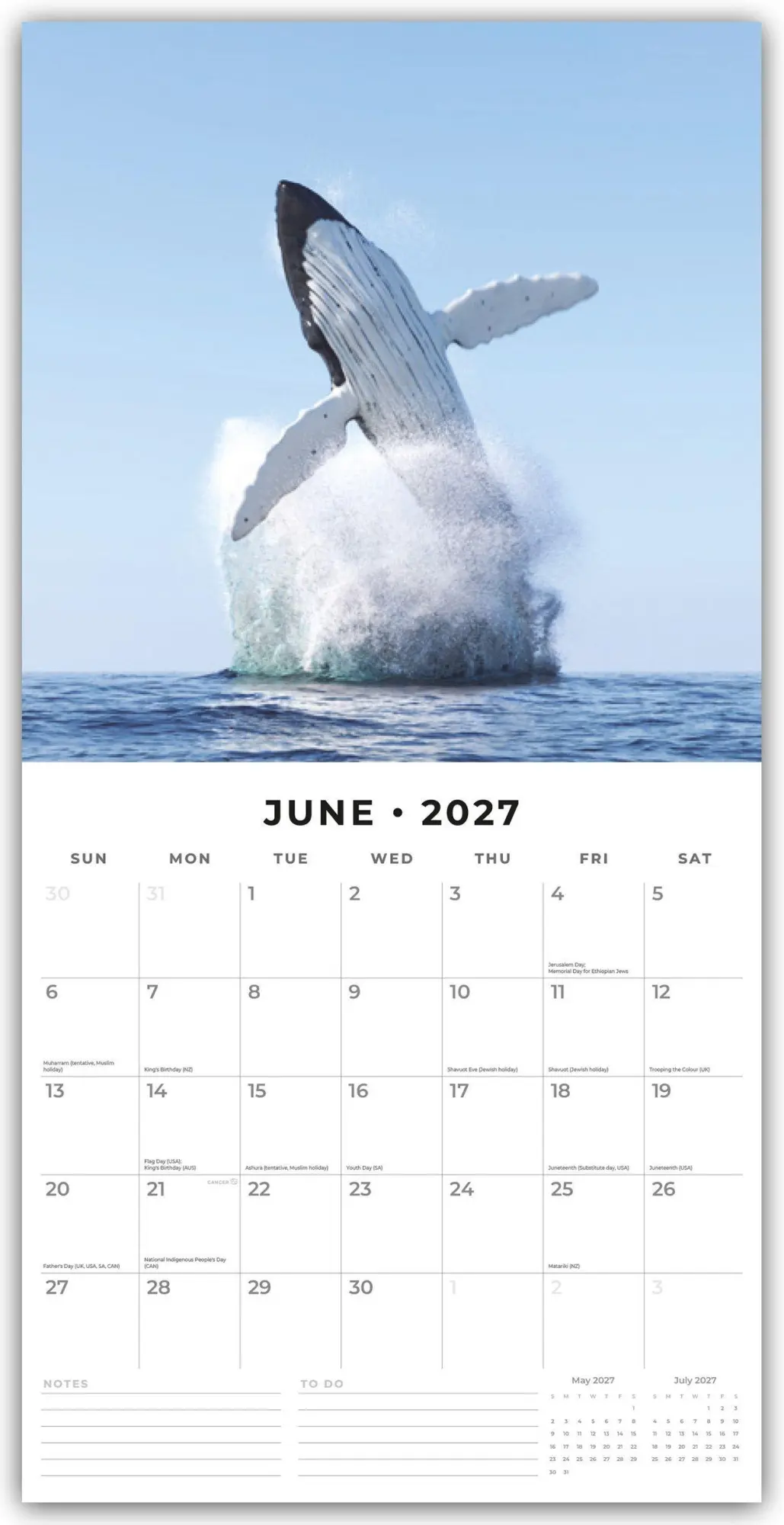 Bild: 9781837011742 | Whales - Wale 2027 - 16-Monatskalender | Robin Red | Kalender | 28 S.