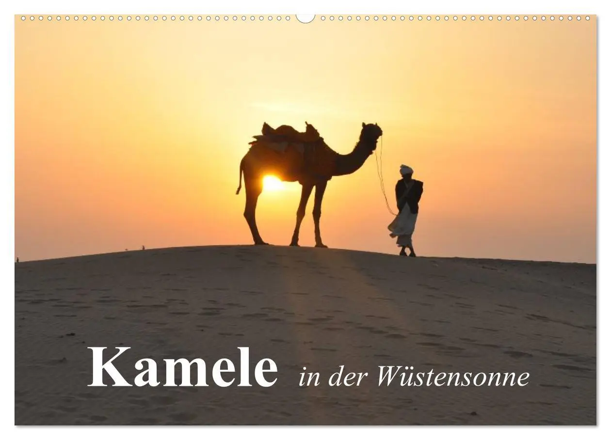 Cover: 9783516051742 | Kamele in der Wüstensonne (Wandkalender 2026 DIN A2 quer), CALVENDO...