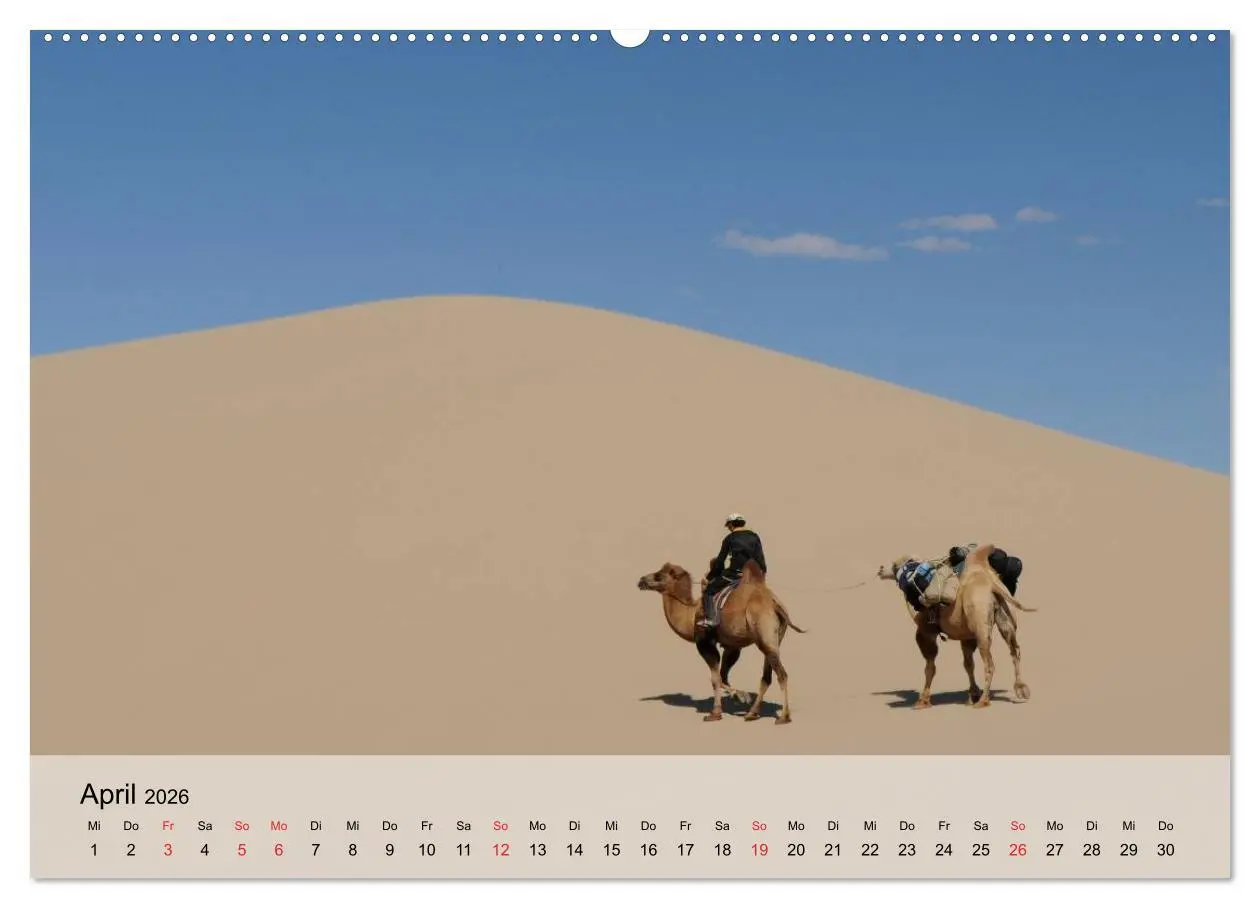 Bild: 9783516051742 | Kamele in der Wüstensonne (Wandkalender 2026 DIN A2 quer), CALVENDO...