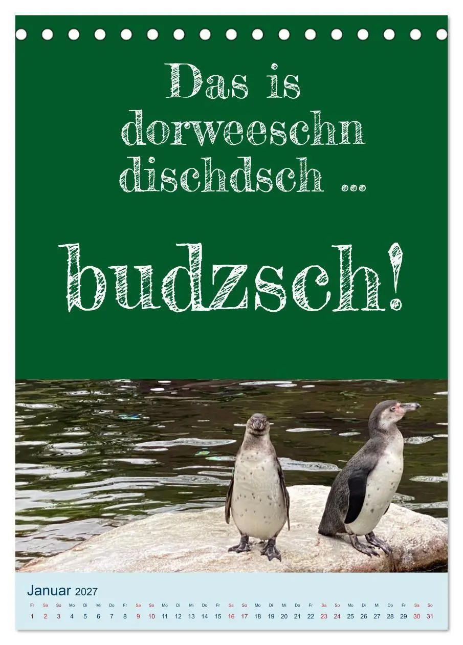 Bild: 9783569211742 | Ni schwäbborn! Mundart und Dialekt Kalender Sachsen (Tischkalender...