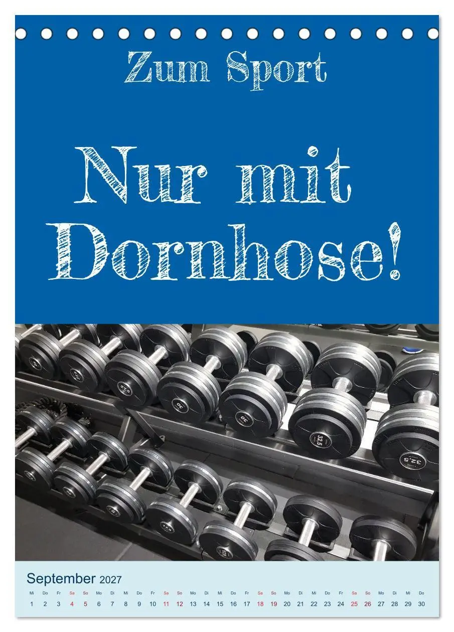 Bild: 9783569211742 | Ni schwäbborn! Mundart und Dialekt Kalender Sachsen (Tischkalender...