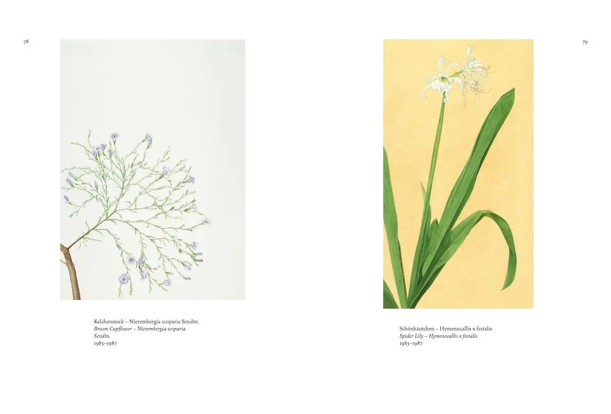 Bild: 9783775751742 | Anita Albus | Die Kunst zu sehen The Art of Seeing | Anette Hüsch