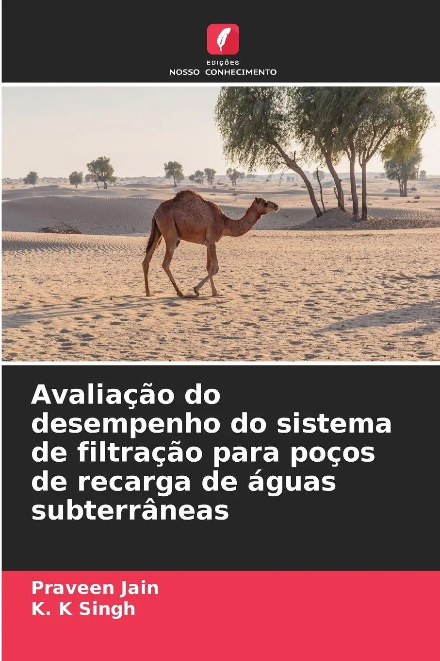 Avaliação do desempenho do sistema de filtração para poços de recarga de águas subterrâneas