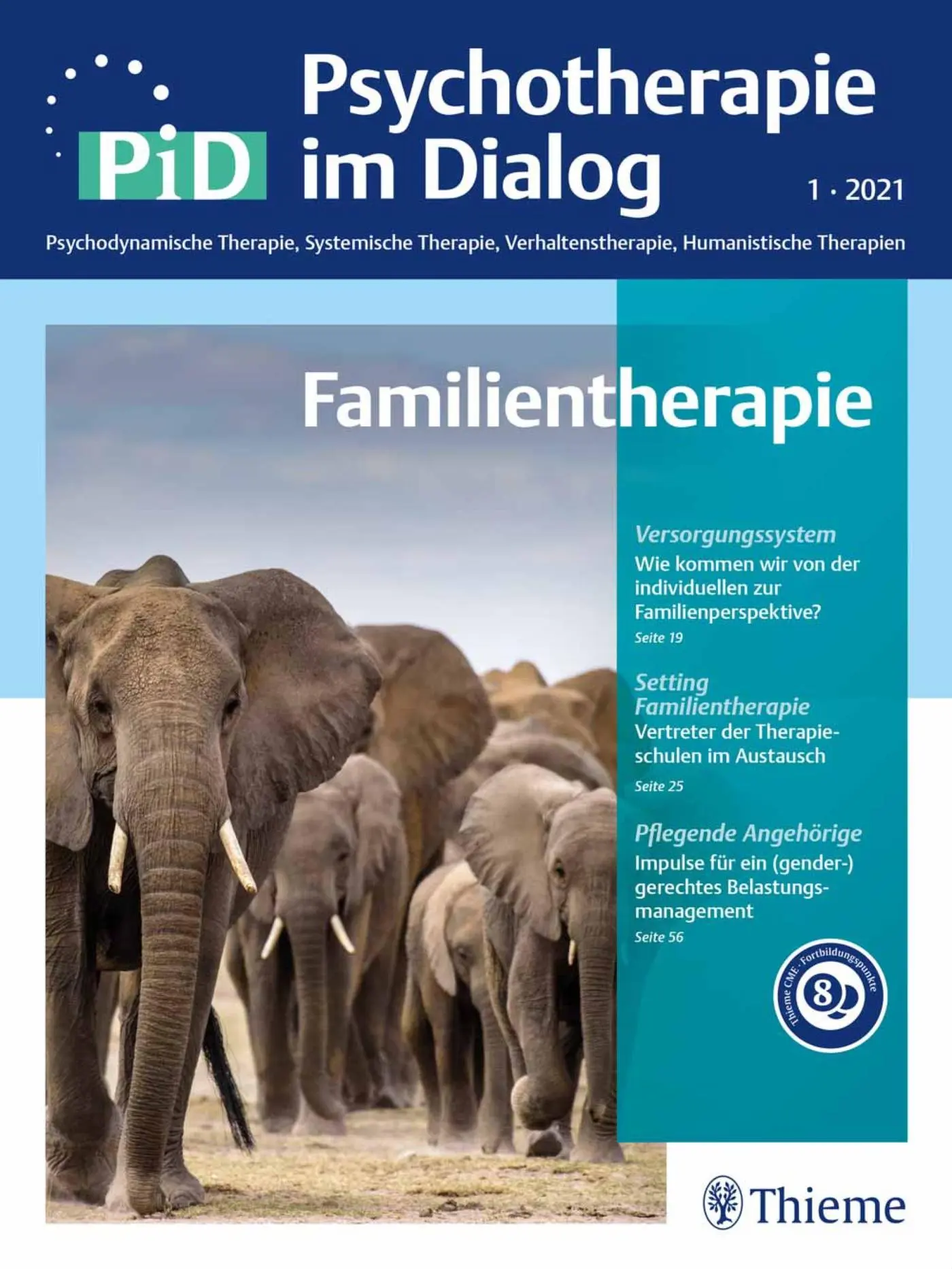 Cover: 9783132441842 | Familientherapie | PiD - Psychotherapie im Dialog | Maria Borcsa