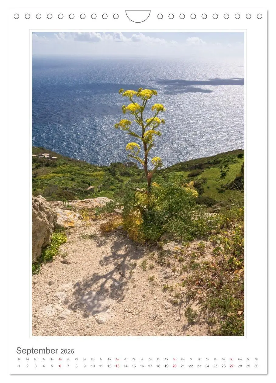 Bild: 9783516661842 | Malta Impressionen (Wandkalender 2026 DIN A4 hoch), CALVENDO...