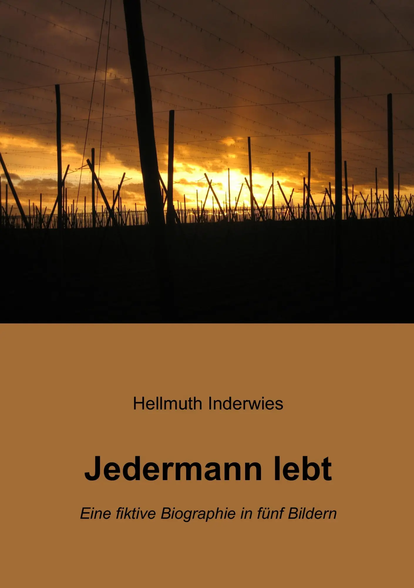 Cover: 9783837041842 | Jedermann lebt | Eine fiktive Biographie in fünf Bildern | Inderwies