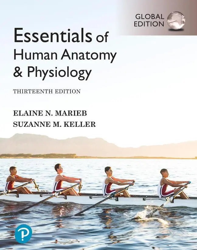 Cover: 9781292401942 | Essentials of Human Anatomy &amp; Physiology, Global Edition | Taschenbuch