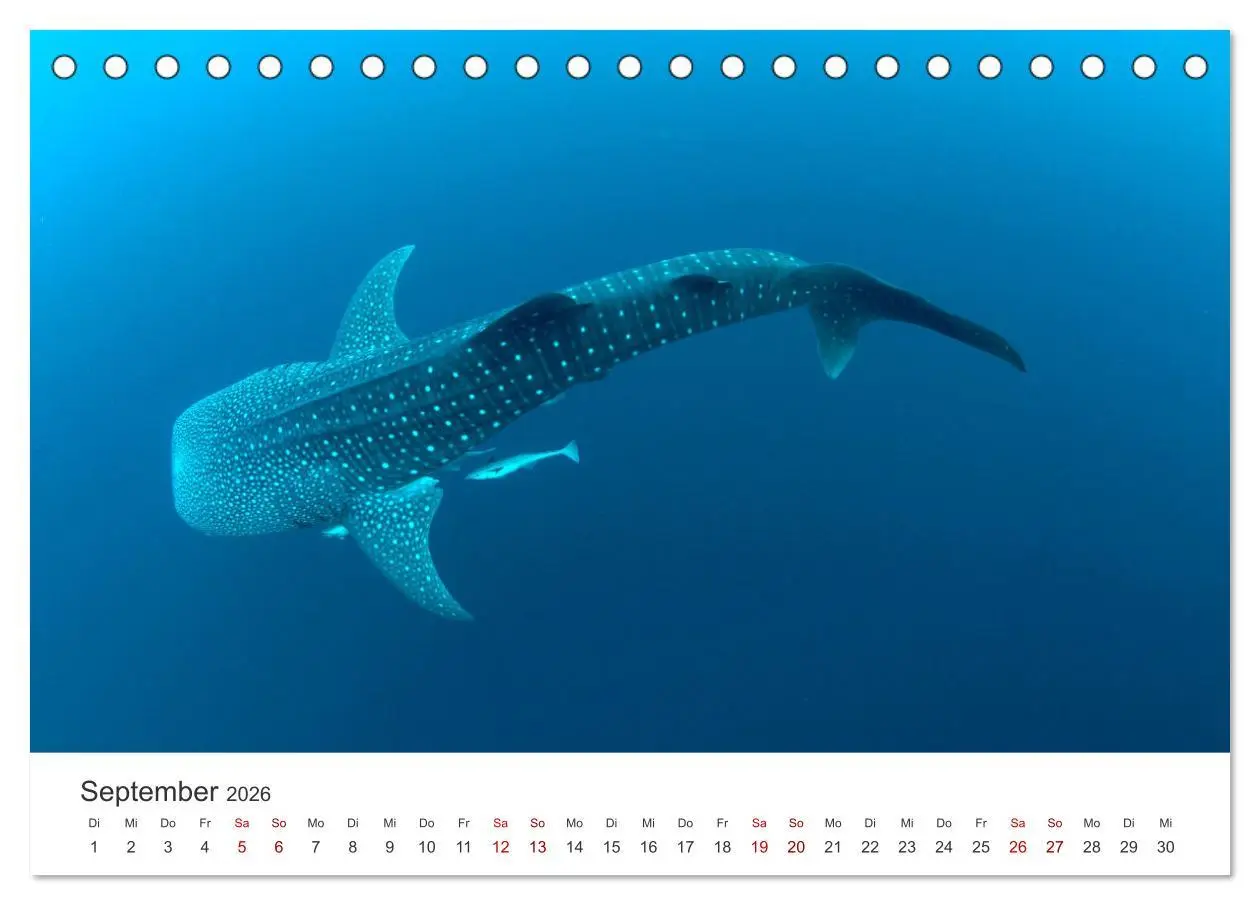 Bild: 9783457561942 | Tiefsee - Ein Abenteuer ins Unbekannte. (Tischkalender 2026 DIN A5...