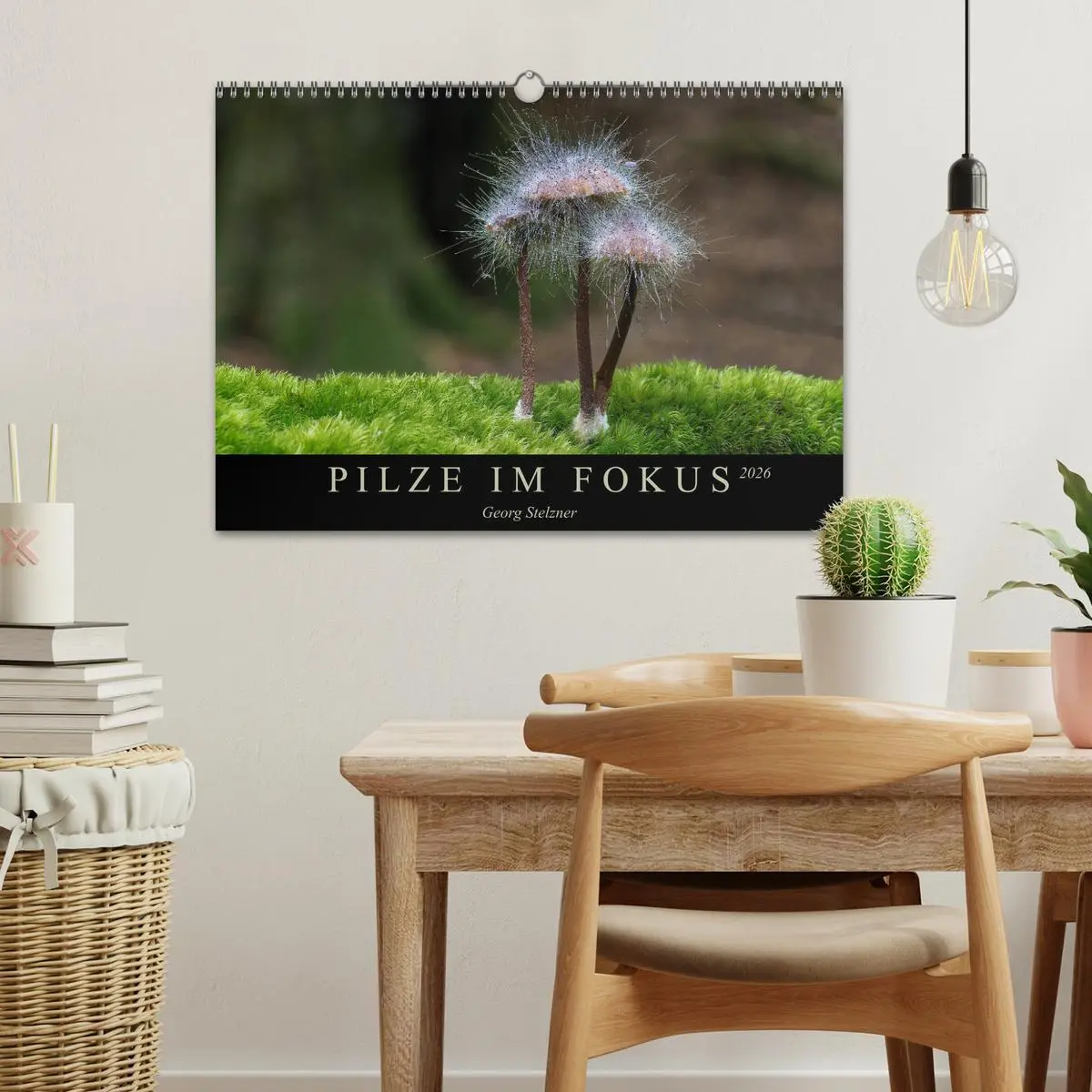 Bild: 9783457871942 | PILZE IM FOKUS 2026 (Wandkalender 2026 DIN A3 quer), CALVENDO...