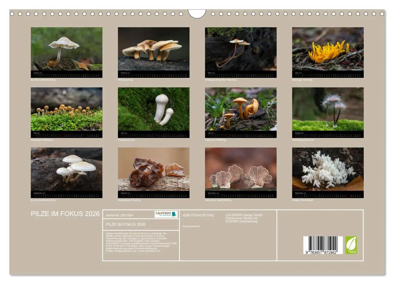 Bild: 9783457871942 | PILZE IM FOKUS 2026 (Wandkalender 2026 DIN A3 quer), CALVENDO...