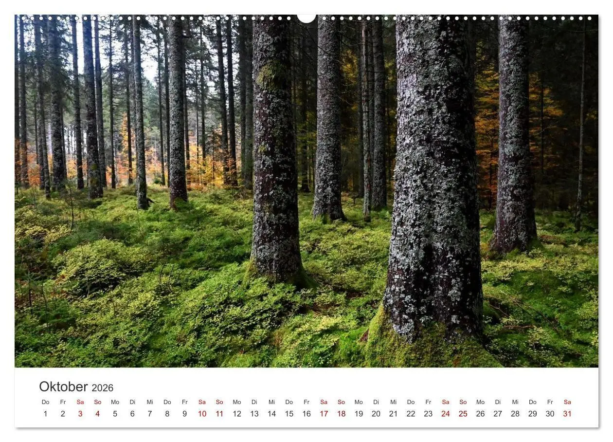 Bild: 9783516721942 | Deutschlands Landschaften 2026 - Von der Küste bis zu den Alpen...