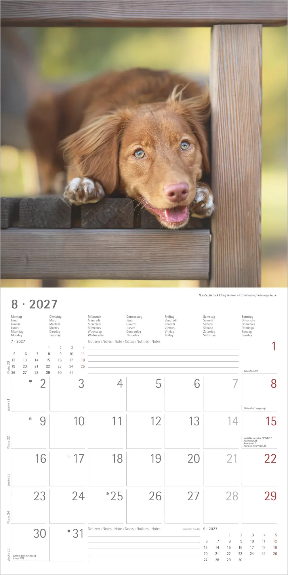 Bild: 4069095012042 | Welpen 2027 | Neumann Verlage GmbH &amp; Co KG | Kalender | 14 S. | 2027