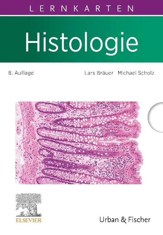 Cover: 9783437412042 | Lernkarten Histologie | Lars Bräuer (u. a.) | Box | Sobotta | XIV