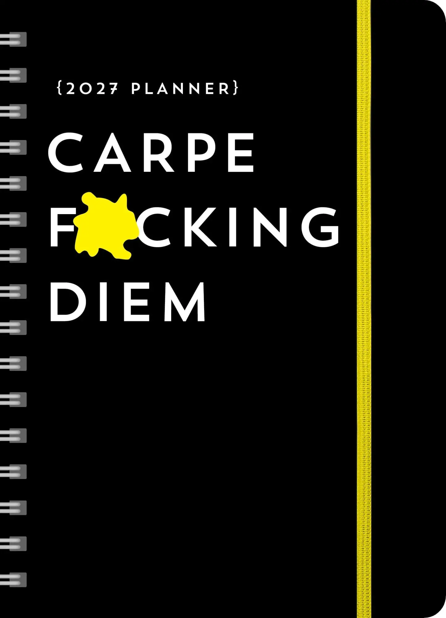 Cover: 9781464262142 | 2027 Carpe F*cking Diem Planner | August 2026-December 2027 | Kalender