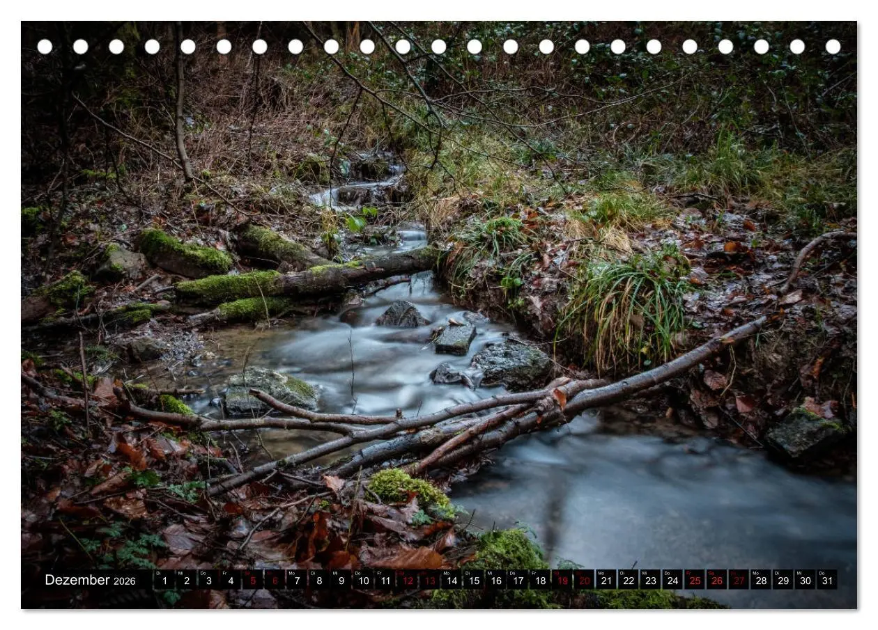 Bild: 9783457822142 | Wege des einfachen Glücks - Spaziergänge im Wald (Tischkalender...