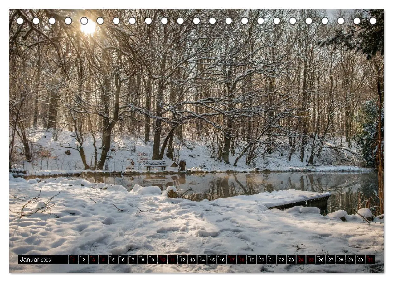 Bild: 9783457822142 | Wege des einfachen Glücks - Spaziergänge im Wald (Tischkalender...