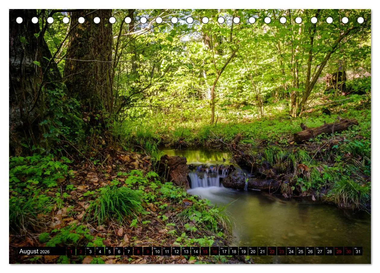 Bild: 9783457822142 | Wege des einfachen Glücks - Spaziergänge im Wald (Tischkalender...