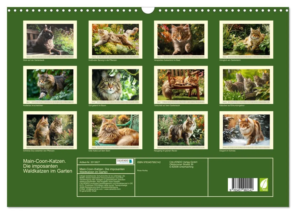 Bild: 9783457992142 | Main-Coon-Katzen. Die imposanten Waldkatzen im Garten (Wandkalender...