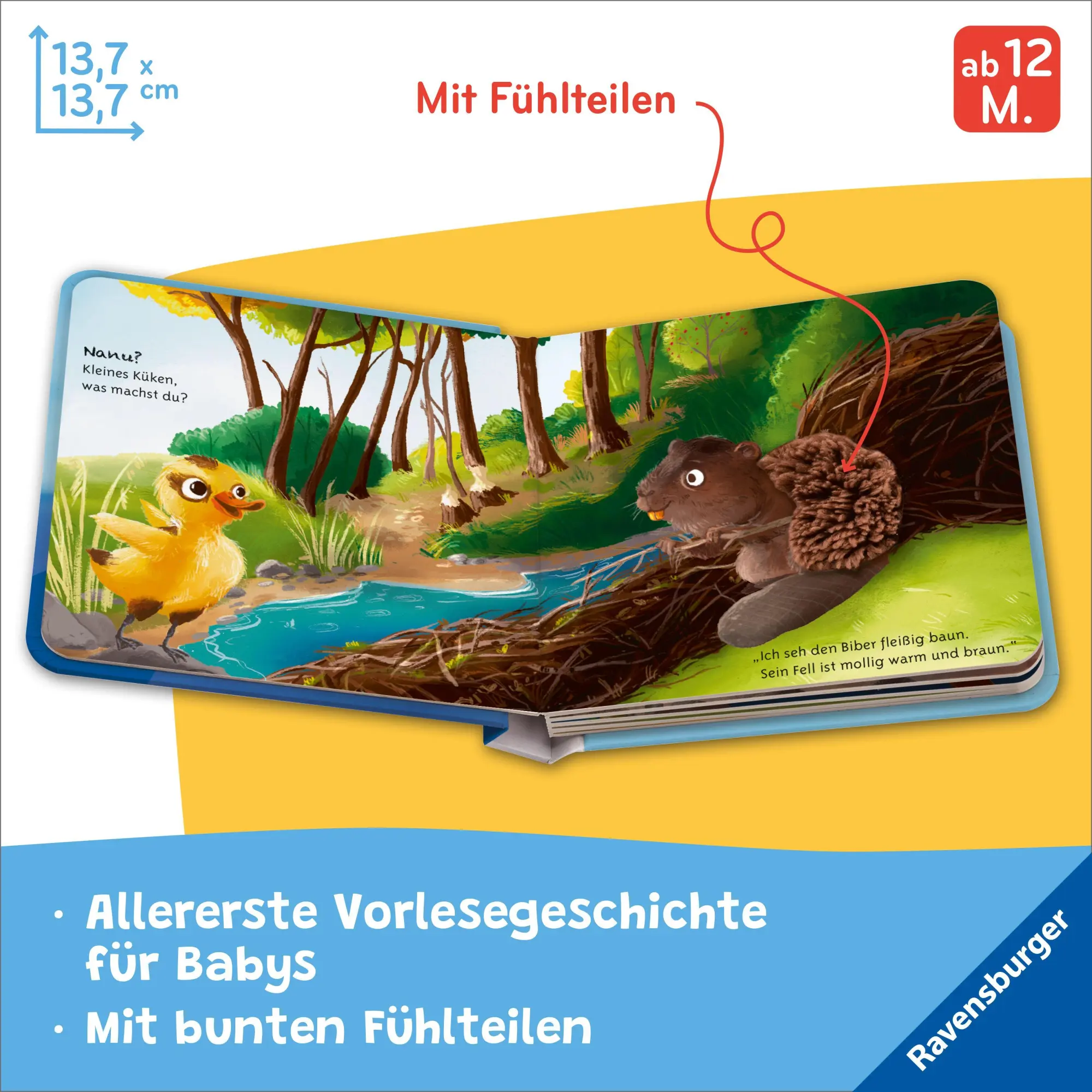 Bild: 9783473422142 | Mein liebstes Vorlese-Fühlbuch - Das kleine Küken | Maria Höck | Buch