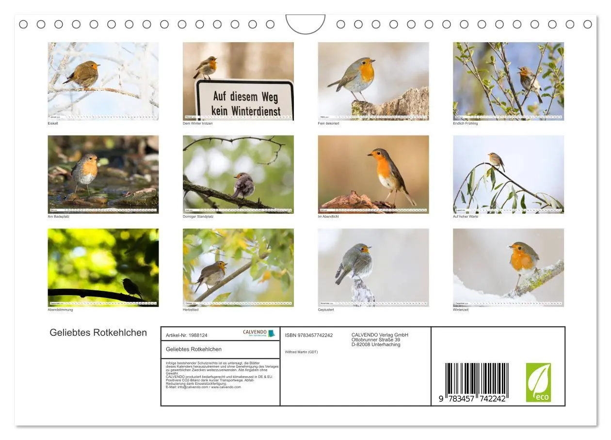 Bild: 9783457742242 | Geliebtes Rotkehlchen (Wandkalender 2026 DIN A4 quer), CALVENDO...