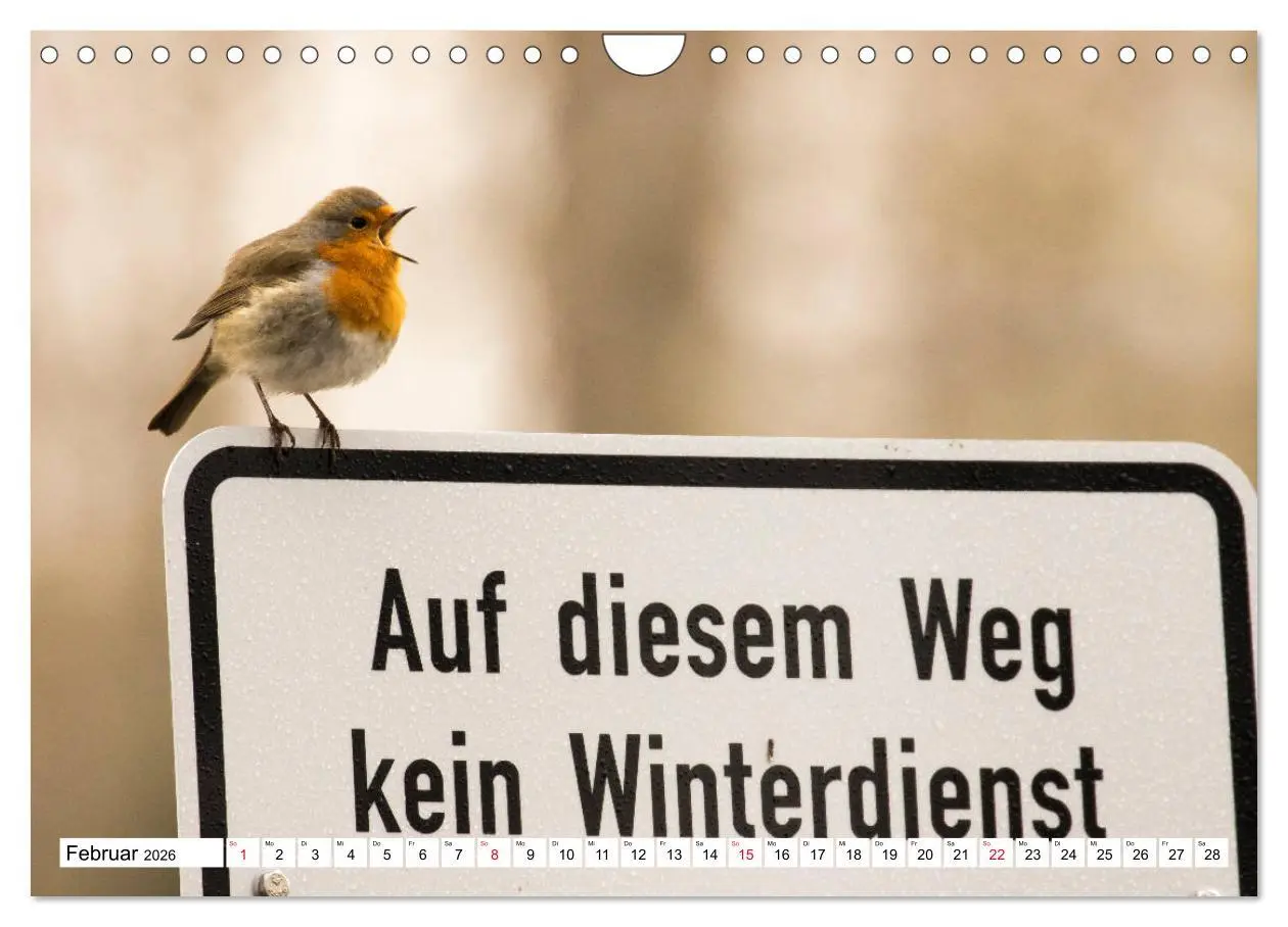 Bild: 9783457742242 | Geliebtes Rotkehlchen (Wandkalender 2026 DIN A4 quer), CALVENDO...