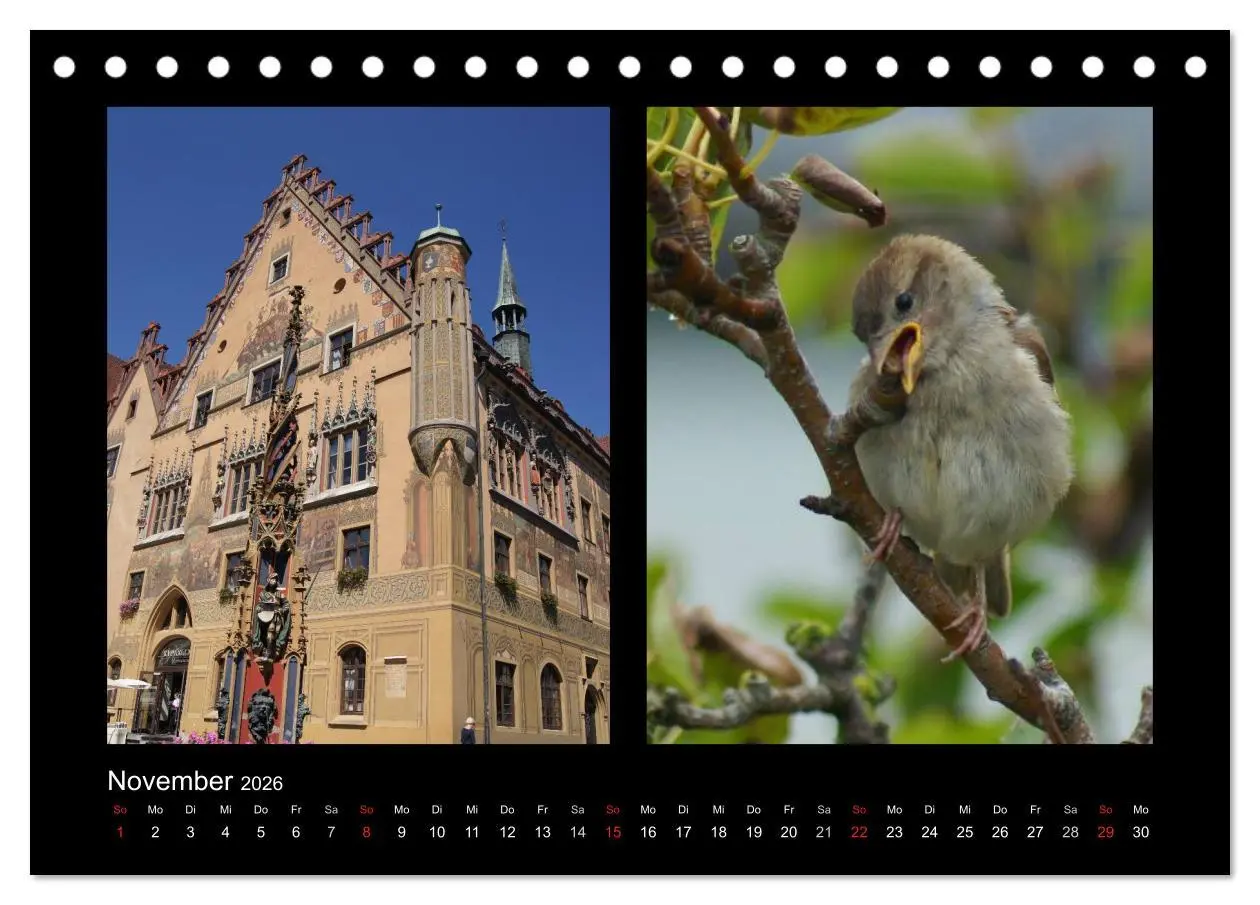 Bild: 9783457982242 | Ulmer Spatzen (Tischkalender 2026 DIN A5 quer), CALVENDO...
