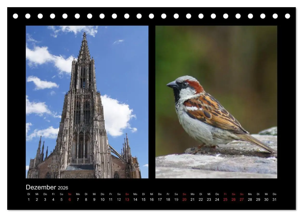 Bild: 9783457982242 | Ulmer Spatzen (Tischkalender 2026 DIN A5 quer), CALVENDO...