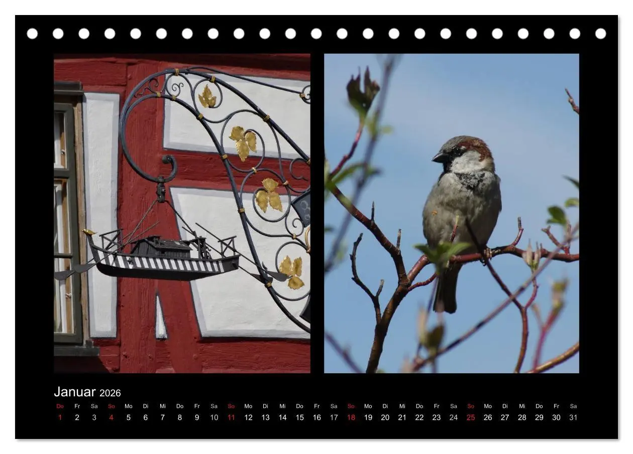 Bild: 9783457982242 | Ulmer Spatzen (Tischkalender 2026 DIN A5 quer), CALVENDO...