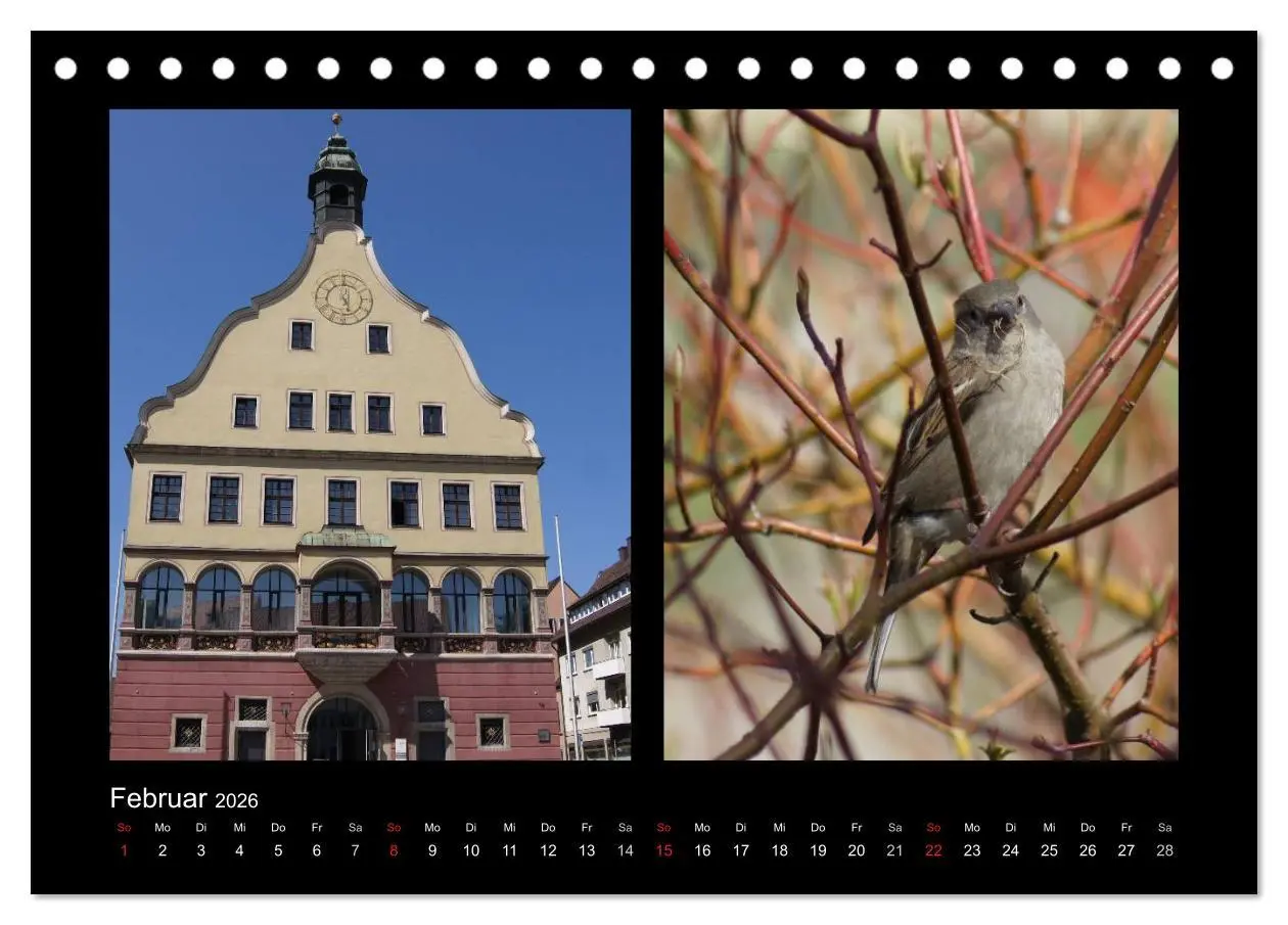 Bild: 9783457982242 | Ulmer Spatzen (Tischkalender 2026 DIN A5 quer), CALVENDO...