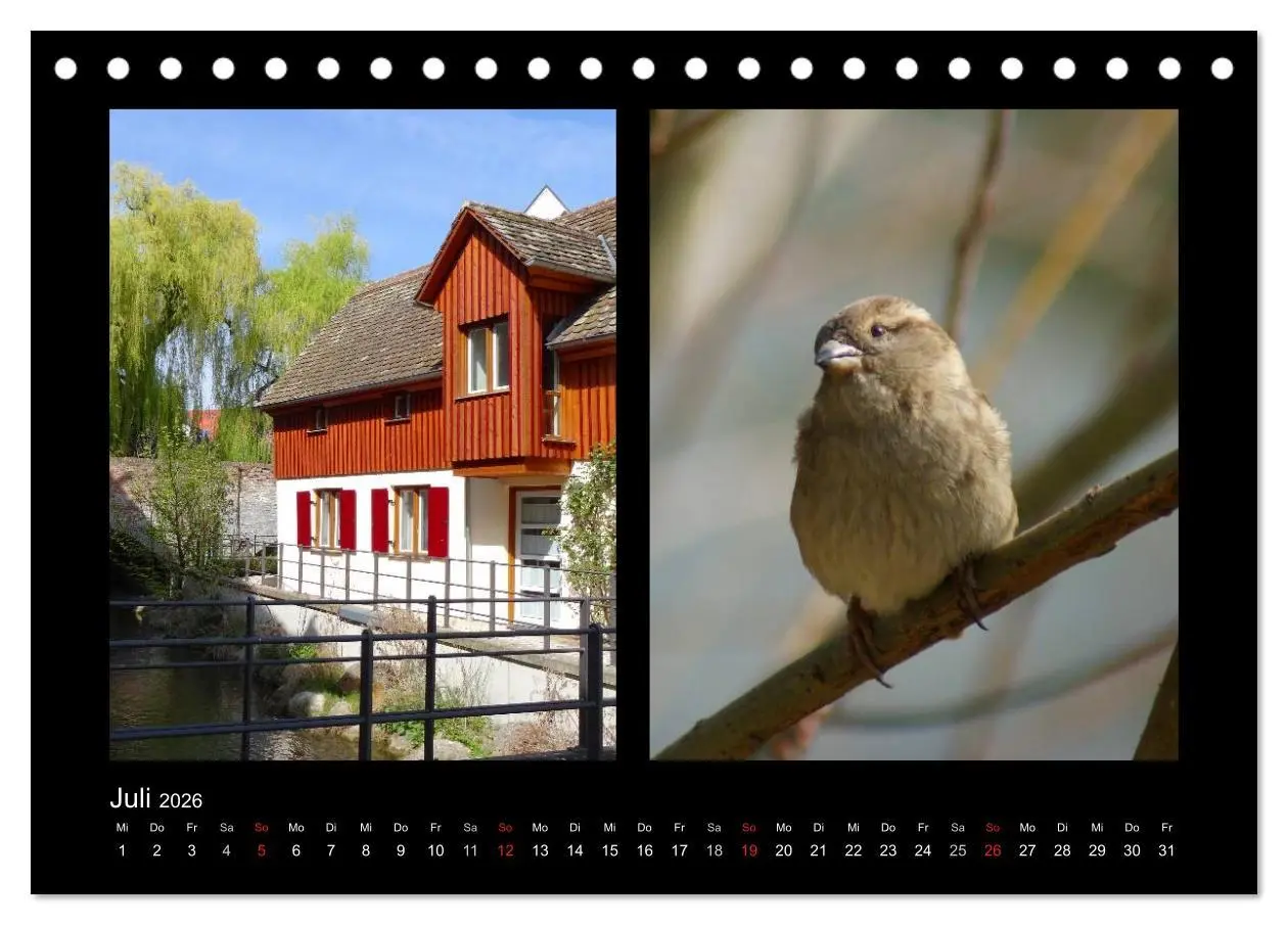 Bild: 9783457982242 | Ulmer Spatzen (Tischkalender 2026 DIN A5 quer), CALVENDO...