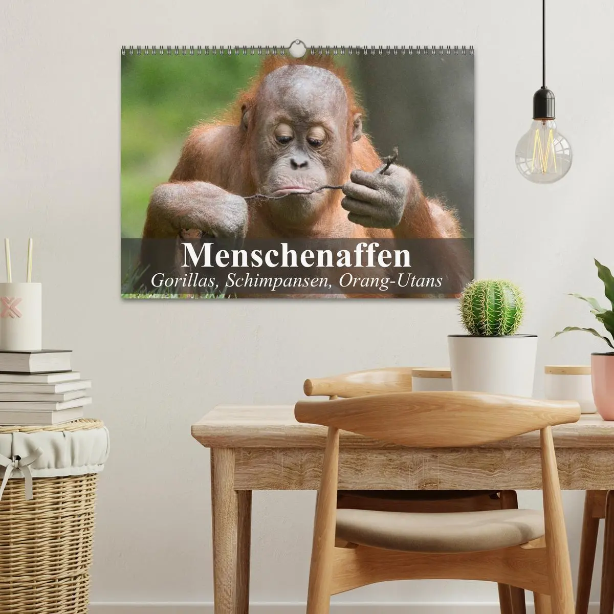Bild: 9783516072242 | Menschenaffen. Gorillas, Schimpansen, Orang-Utans (Wandkalender...