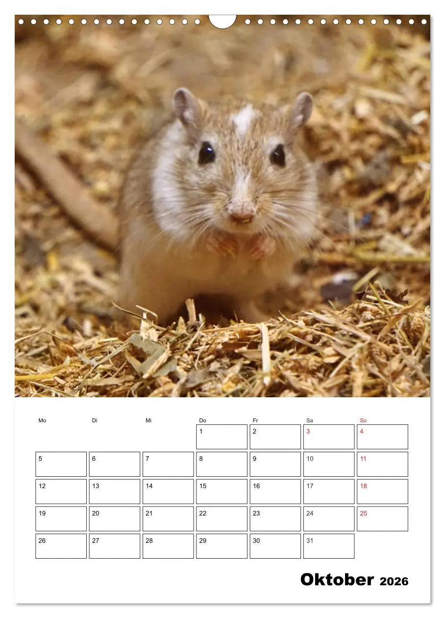 Bild: 9783516382242 | Lustige Rennmäuse (Wandkalender 2026 DIN A3 hoch), CALVENDO...