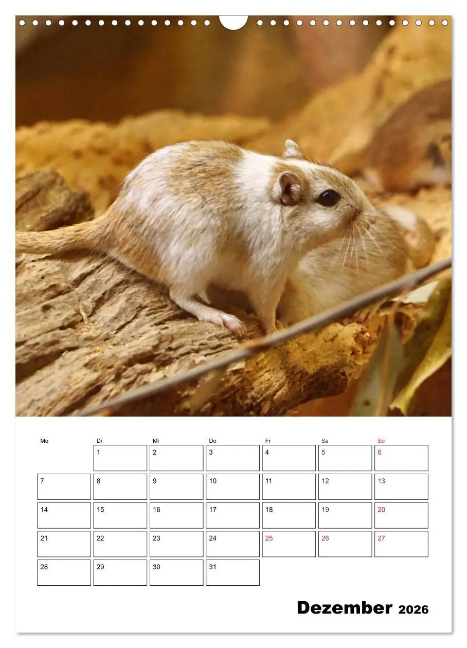 Bild: 9783516382242 | Lustige Rennmäuse (Wandkalender 2026 DIN A3 hoch), CALVENDO...