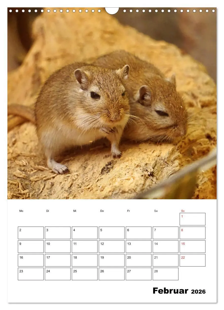 Bild: 9783516382242 | Lustige Rennmäuse (Wandkalender 2026 DIN A3 hoch), CALVENDO...
