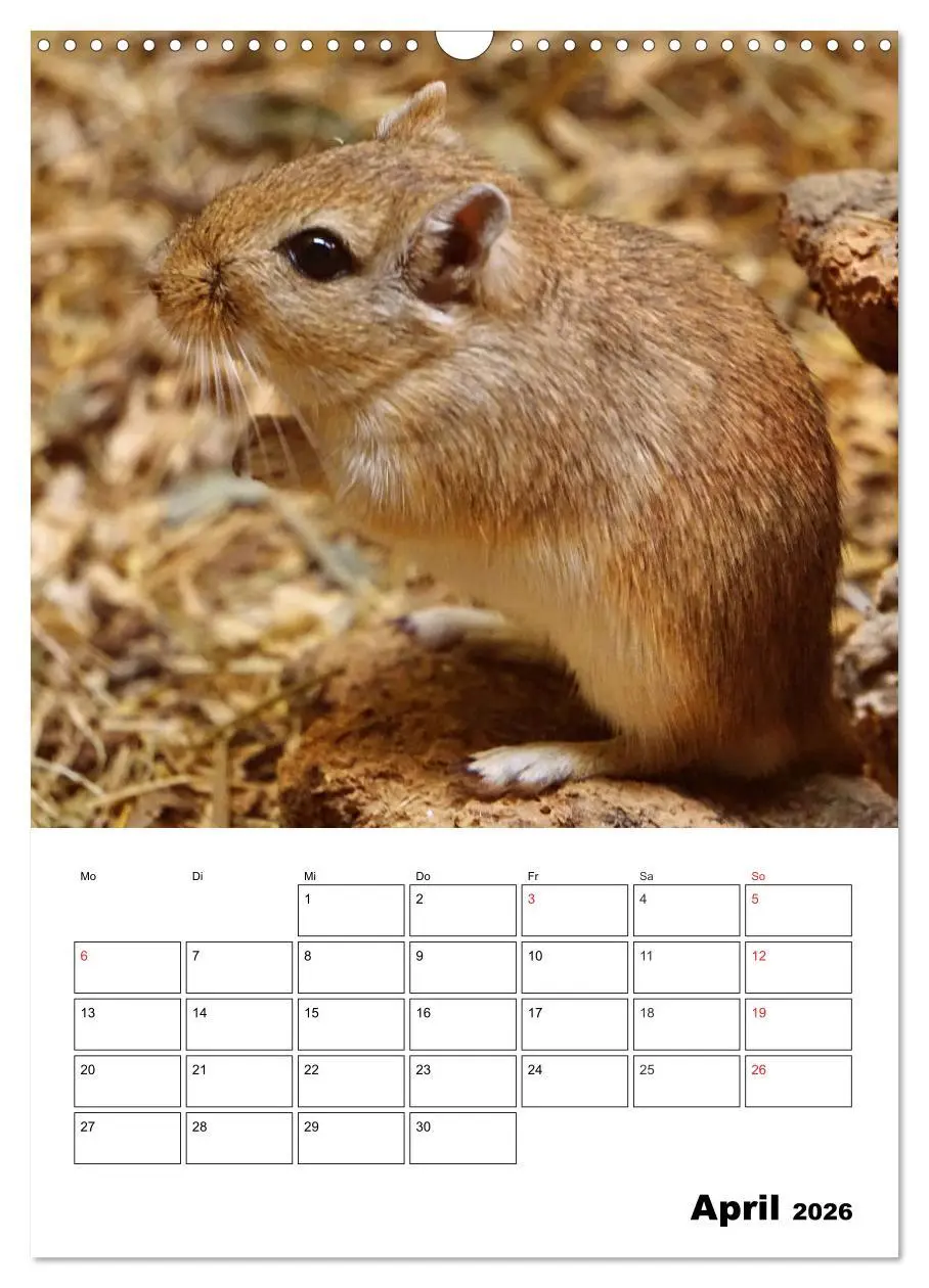 Bild: 9783516382242 | Lustige Rennmäuse (Wandkalender 2026 DIN A3 hoch), CALVENDO...