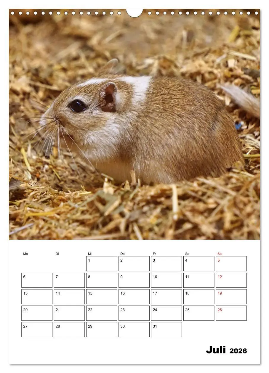 Bild: 9783516382242 | Lustige Rennmäuse (Wandkalender 2026 DIN A3 hoch), CALVENDO...