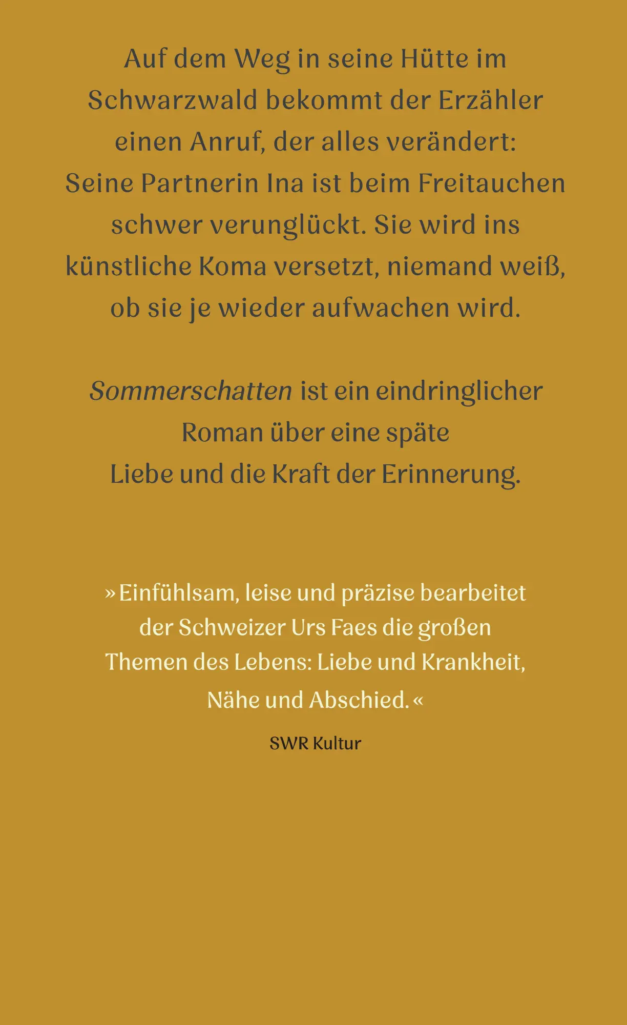 Rückseite: 9783518432242 | Sommerschatten | Urs Faes | Buch | 160 S. | Deutsch | 2025