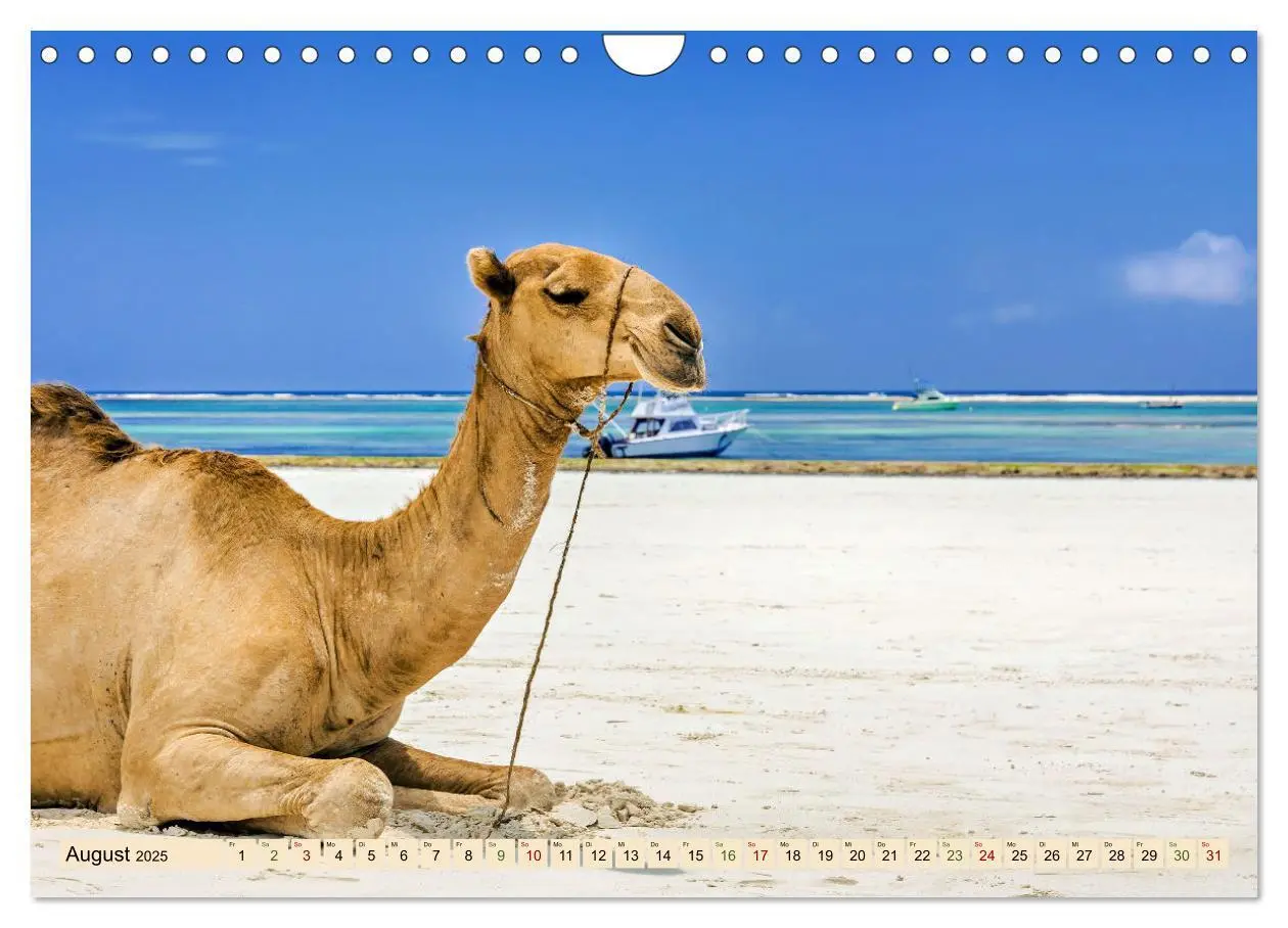 Bild: 9783383862342 | DIANI BEACH Strand Impressionen Kenia (Wandkalender 2025 DIN A4...