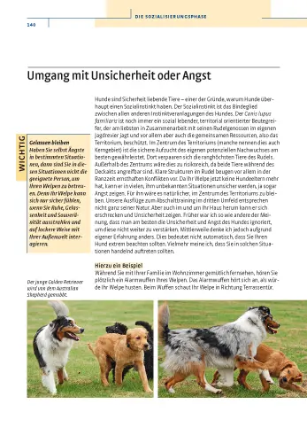 Bild: 9783440112342 | Vom Welpen zum Familienhund mit Natural Dogmanship | Jan Nijboer