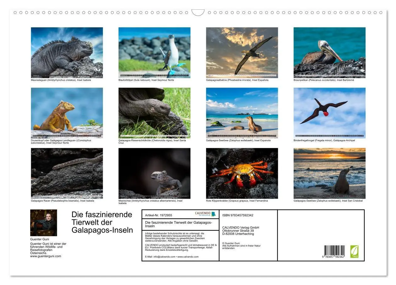 Bild: 9783457592342 | Die faszinierende Tierwelt der Galapagos-Inseln (Wandkalender 2026...