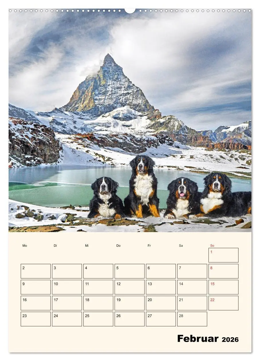 Bild: 9783516372342 | Traumhaft schön - Der Berner Sennenhund (hochwertiger Premium...