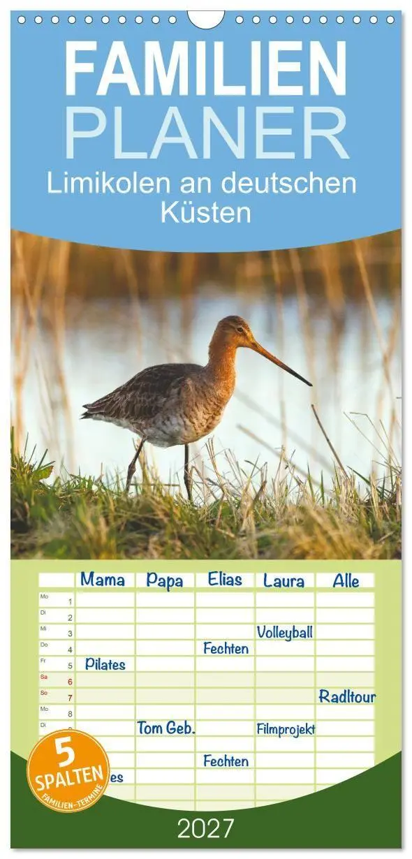 Familienplaner 2027 - Limikolen an deutschen Küsten mit 5 Spalten (Wandkalender, 21 x 45 cm) CALVENDO