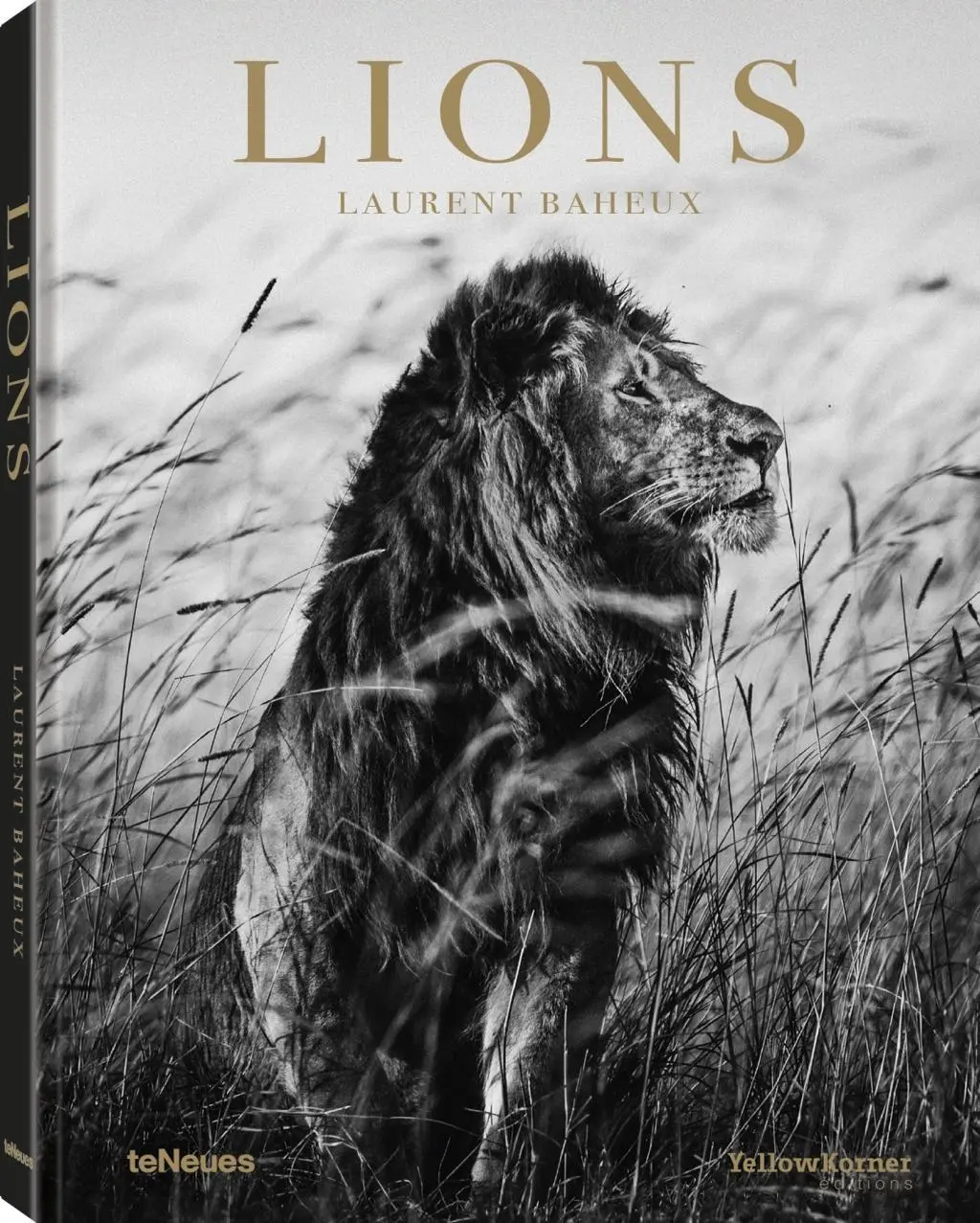Cover: 9783961712342 | Lions | YellowKorner, Dt/engl/frz | Laurent Baheux | Buch | 192 S.